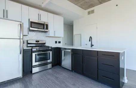 2 Bedroom South Loop Apartment