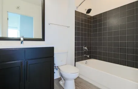 2 Bedroom South Loop Apartment