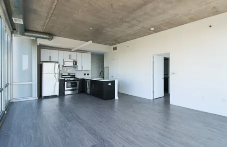 2 Bedroom South Loop Apartment