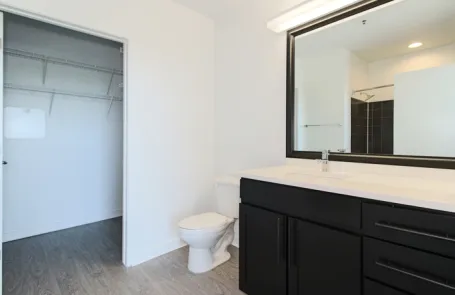 2 Bedroom South Loop Apartment