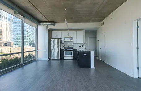 2 Bedroom South Loop Apartment