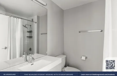 1 Bedroom Lincoln Park Apartment