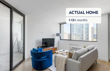 1 Bedroom Lincoln Park Apartment