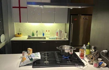 2 Bedroom Chicago Loop Apartment