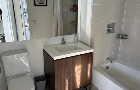 2 Bedroom Chicago Loop Apartment