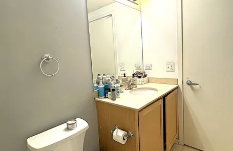 1 Bedroom West Loop Condo