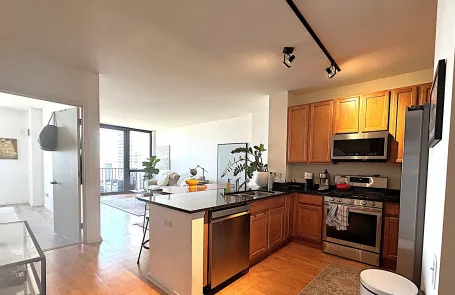 1 Bedroom West Loop Condo