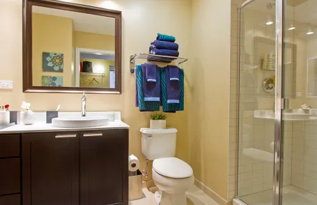 1 Bedroom Chicago Loop Apartment