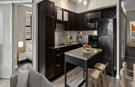 1 Bedroom Chicago Loop Apartment