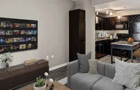 1 Bedroom Chicago Loop Apartment