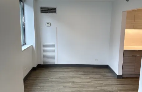 3 Bedroom Streeterville Apartment