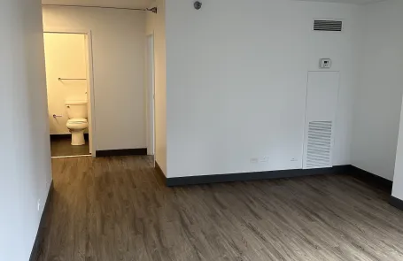 3 Bedroom Streeterville Apartment