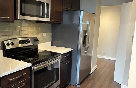 3 Bedroom Streeterville Apartment