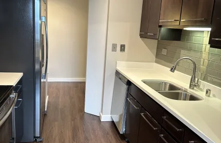 3 Bedroom Streeterville Apartment
