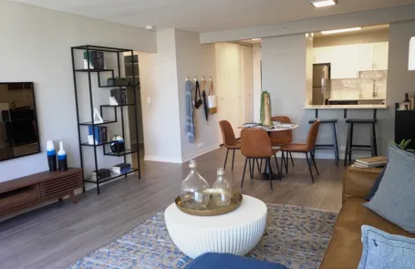 1 Bedroom Streeterville Apartment