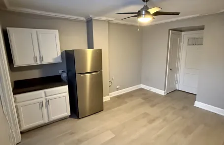Studio Lincoln Park Apartment