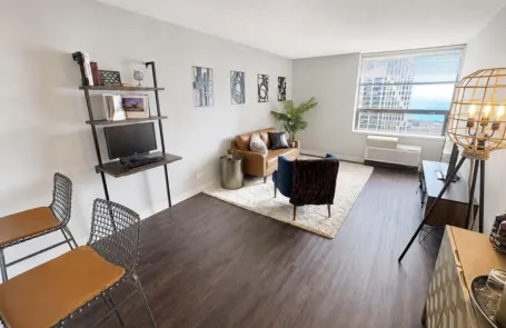 1 Bedroom Streeterville Apartment