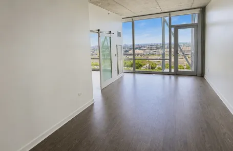 1 Bedroom South Loop Apartment