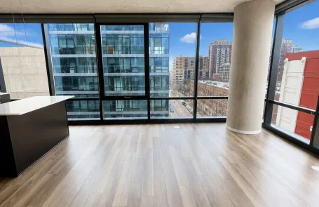 1 Bedroom South Loop Apartment
