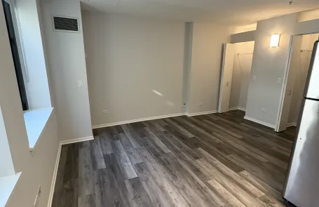 Studio Chicago Loop Apartment