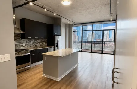 1 Bedroom South Loop Apartment