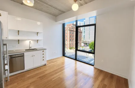 Studio River North Apartment