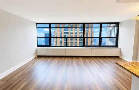 1 Bedroom South Loop Apartment