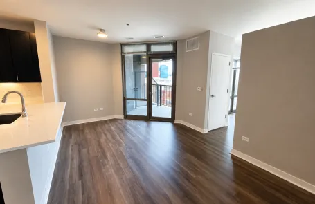 1 Bedroom South Loop Apartment