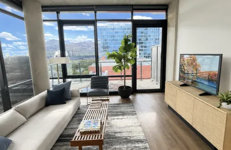 2 Bedroom South Loop Apartment