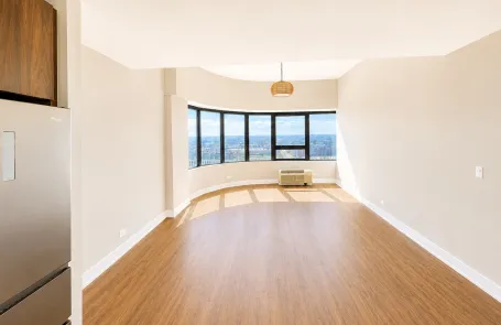 1 Bedroom South Loop Apartment