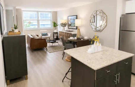 1 Bedroom West Loop Apartment