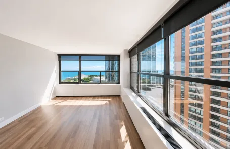 1 Bedroom South Loop Apartment