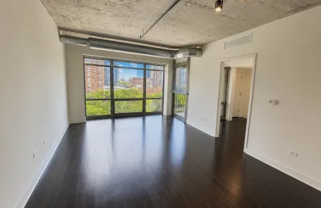 1 Bedroom South Loop Apartment