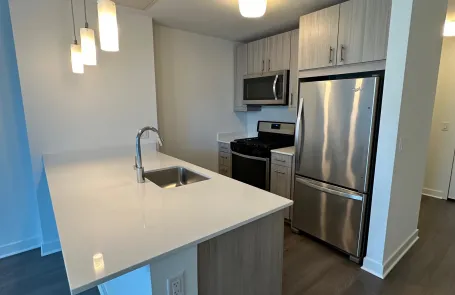 1 Bedroom Chicago Loop Apartment