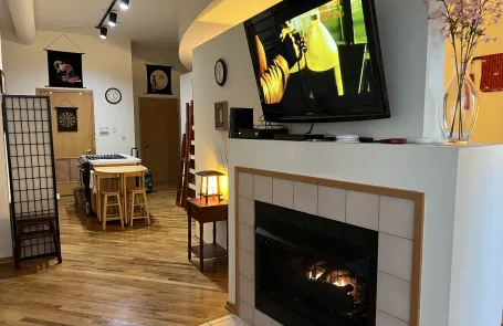 1 Bedroom South Loop Condo