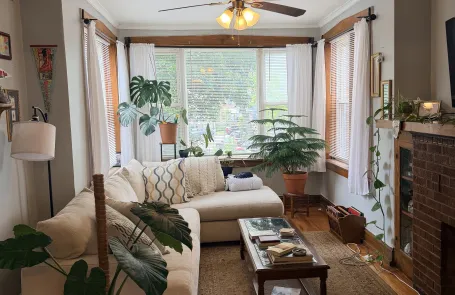 2 Bedroom Avondale Apartment