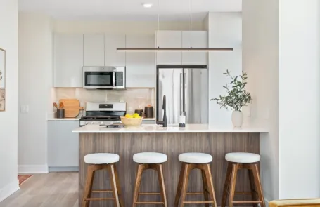 1 Bedroom West Loop Apartment