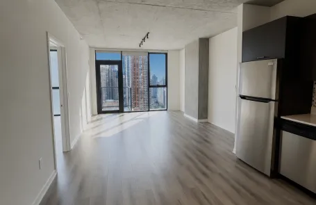 1 Bedroom South Loop Apartment