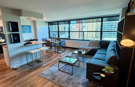 1 Bedroom South Loop Apartment