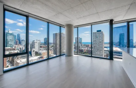 1 Bedroom South Loop Apartment
