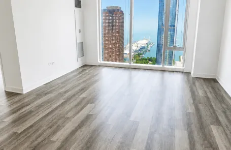 1 Bedroom Streeterville Apartment