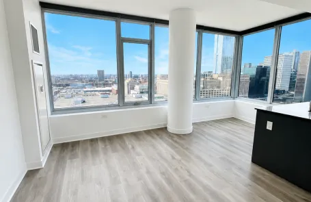 1 Bedroom South Loop Apartment