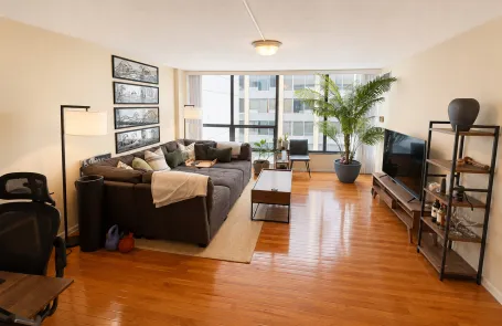 1 Bedroom Streeterville Condo