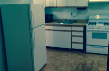 1 Bedroom West Loop Apartment