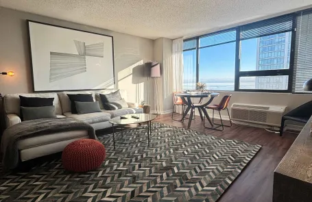 1 Bedroom South Loop Apartment