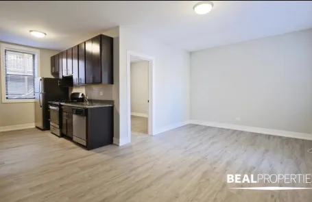 1 Bedroom Lakeview Apartment