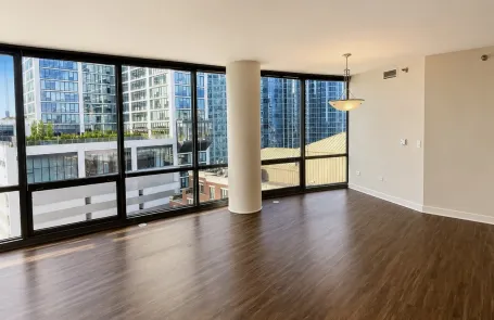 2 Bedroom South Loop Apartment