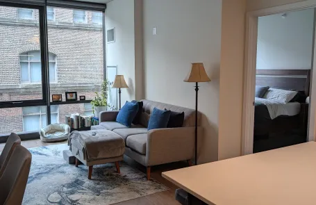 1 Bedroom South Loop Apartment