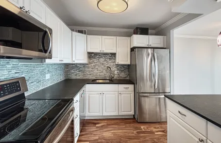 1 Bedroom Lakeview Condo