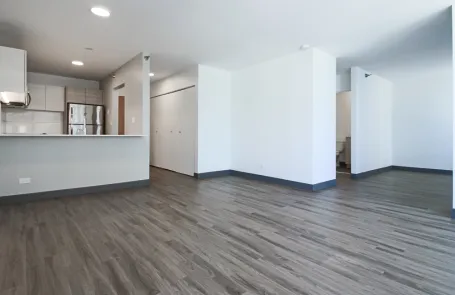 1 Bedroom Streeterville Apartment